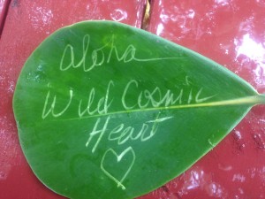 Cosmic Heart Leaf