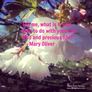 Mary Oliver poem